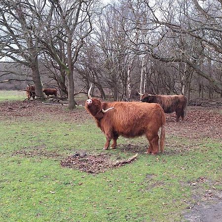 Villa Bijzonder Bakkum Castricum Esterno foto